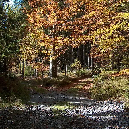 Chalet U Konrada Zlaté Hory